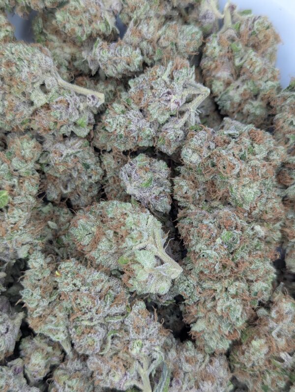 Papaya Melonz