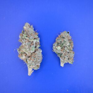 PXL_20250428_145551812 Island Sweet Strawberry
