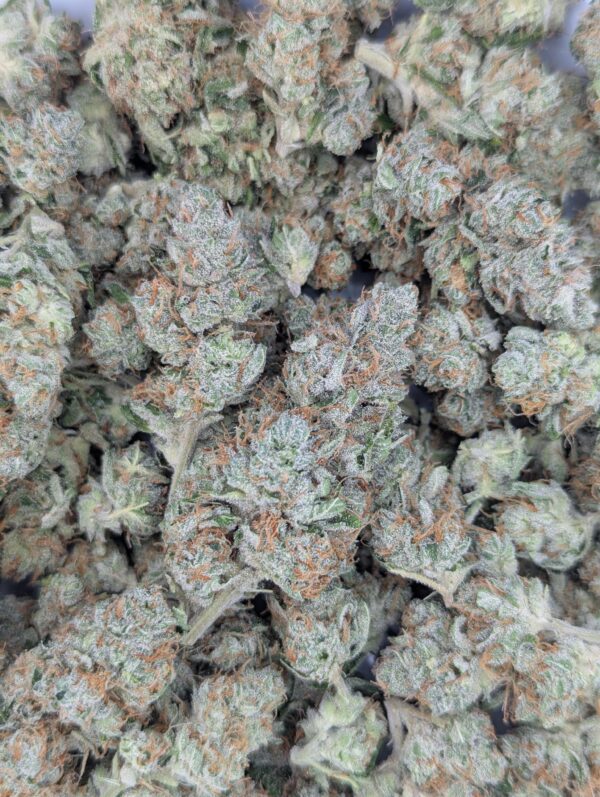 Island Sweet Strawberry