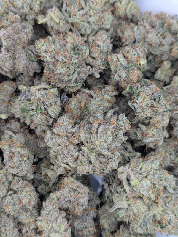 Ecto Cooler