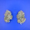 Blue Dream